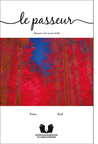 Couverture: photo aux couleurs saturées d'une forêt rouge avec un ciel bleu.